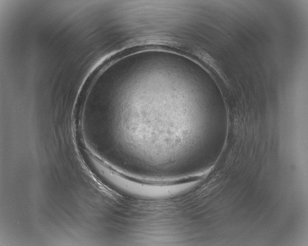 X0000053071024200507251454