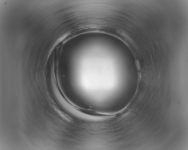 X0000053071026200507251454