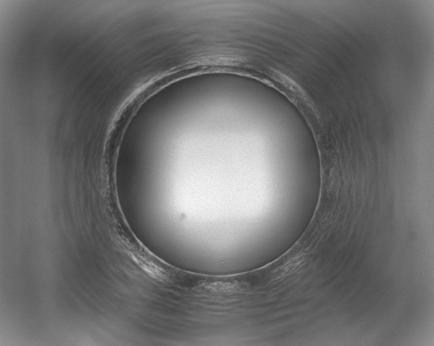 X0000053071027200507251454