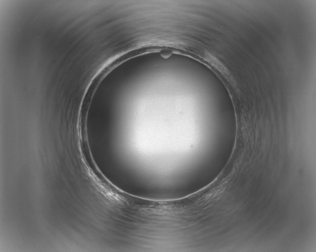 X0000053071028200507251454