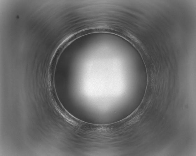 X0000053071029200507251454