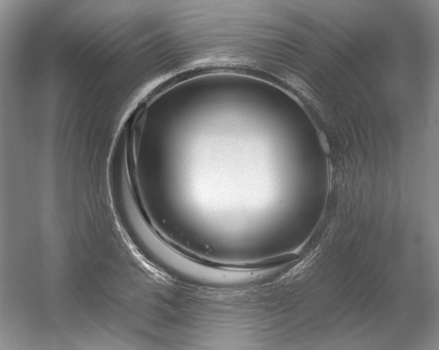 X0000053071030200507251454