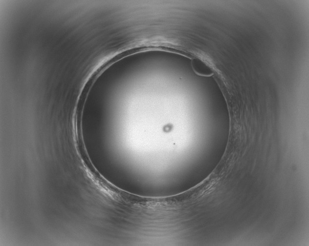 X0000053071032200507251454