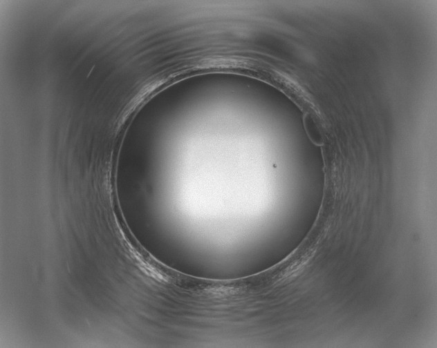 X0000053071033200507251454