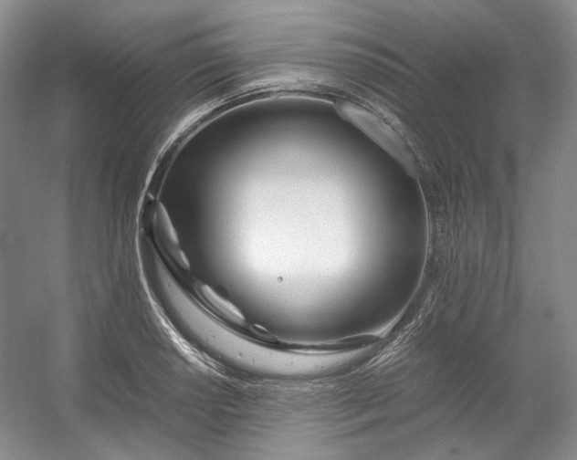 X0000053071034200507251454