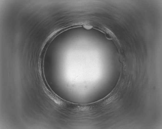 X0000053071035200507251454