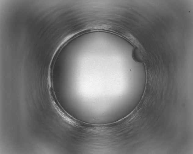 X0000053071036200507251454