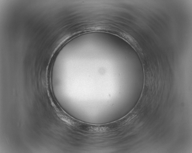 X0000053071039200507251454