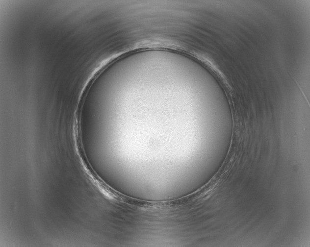 X0000053071040200507251454