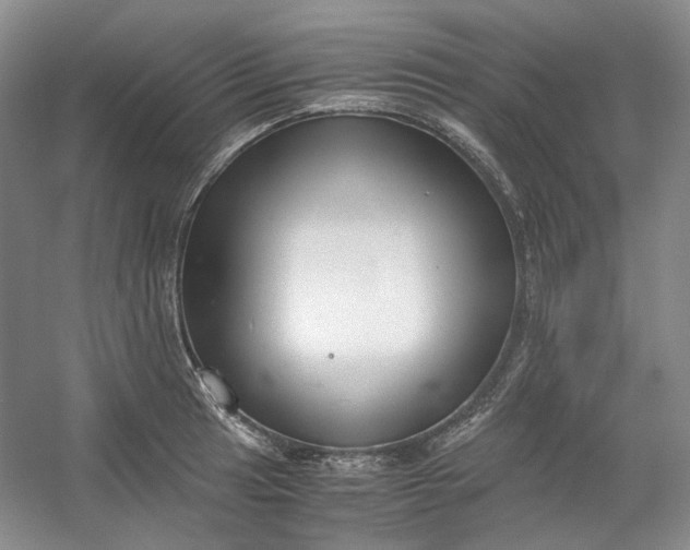 X0000053071041200507251454