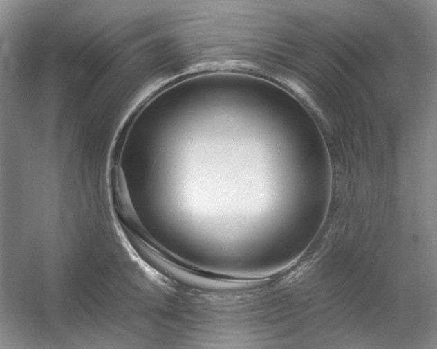 X0000053071046200507251454