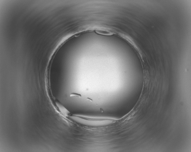 X0000053071048200507251454