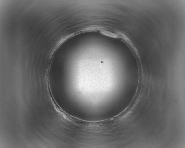 X0000053071049200507251454