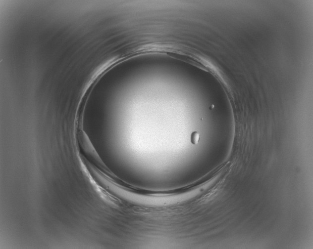 X0000053071050200507251454