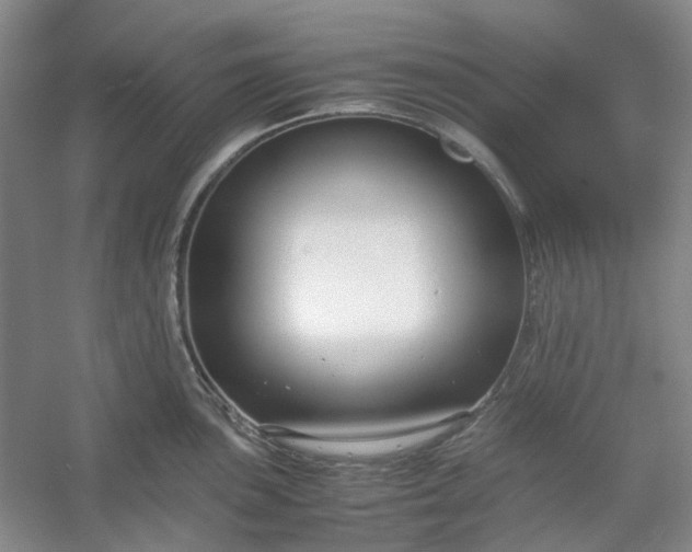 X0000053071051200507251454