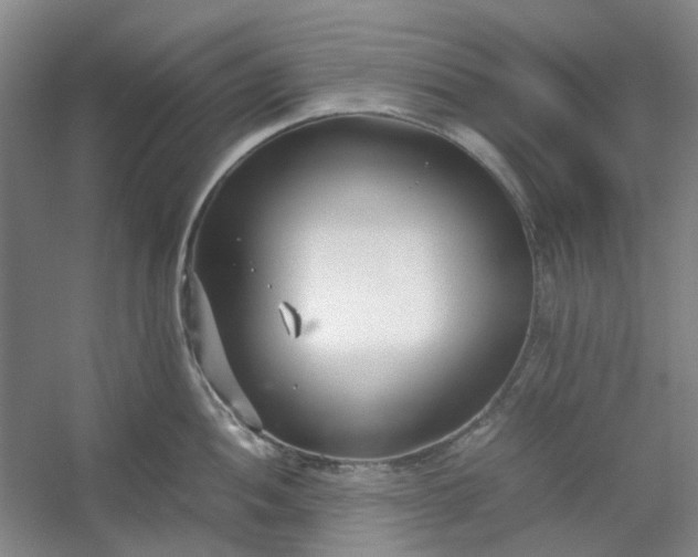 X0000053071052200507251454