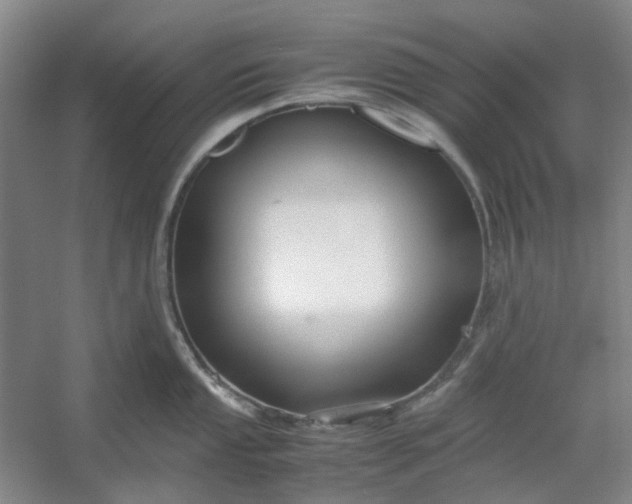 X0000053071053200507251454