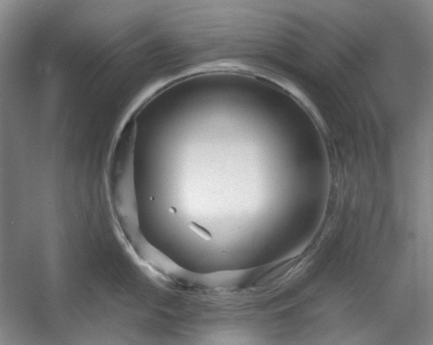 X0000053071054200507251454