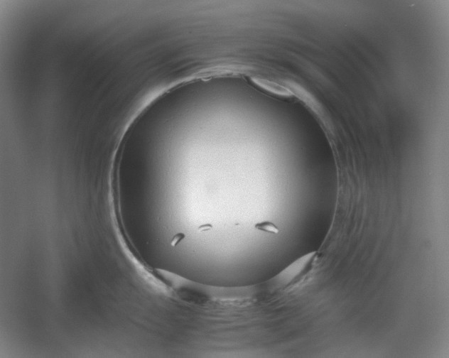 X0000053071055200507251454