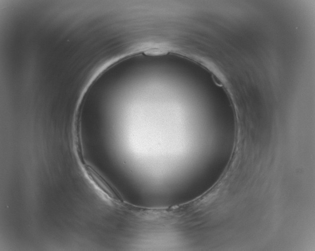 X0000053071056200507251454