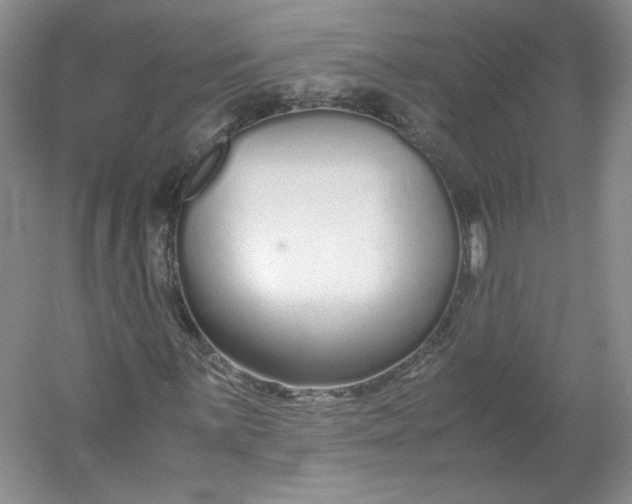 X0000053071059200507251454