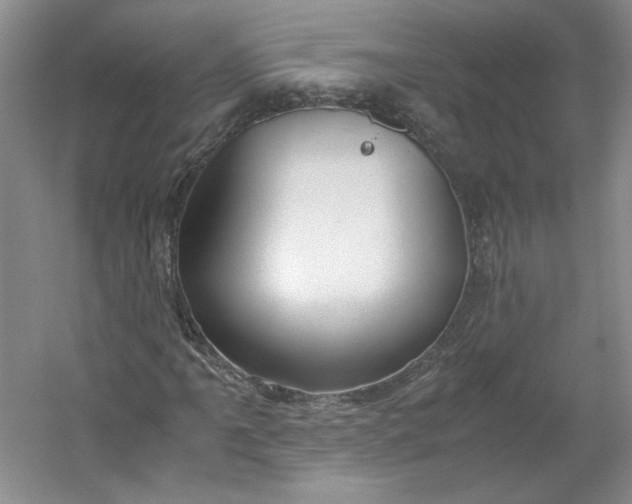 X0000053071061200507251454