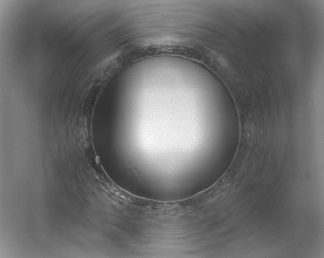 X0000053071062200507251454