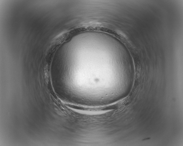 X0000053071063200507251453