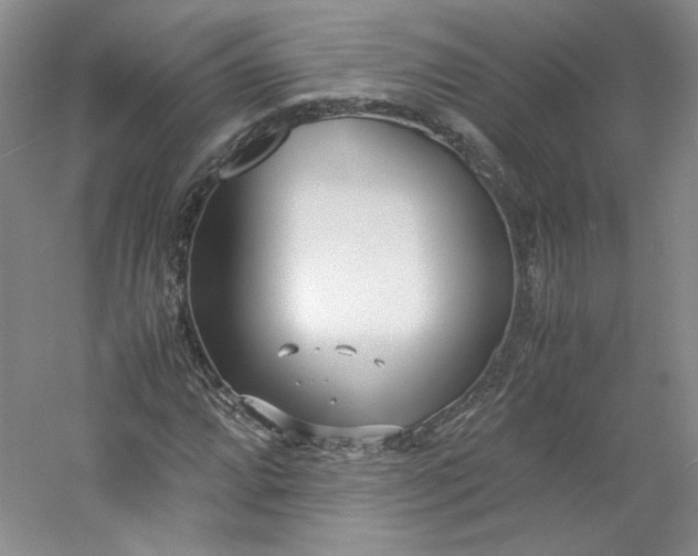 X0000053071064200507251453