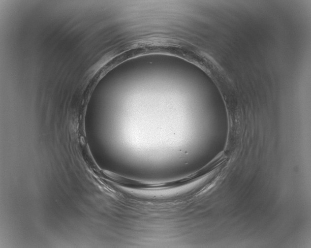 X0000053071065200507251453