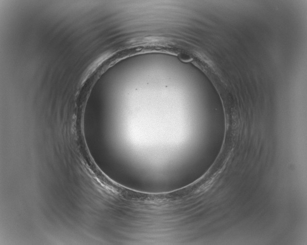 X0000053071066200507251453