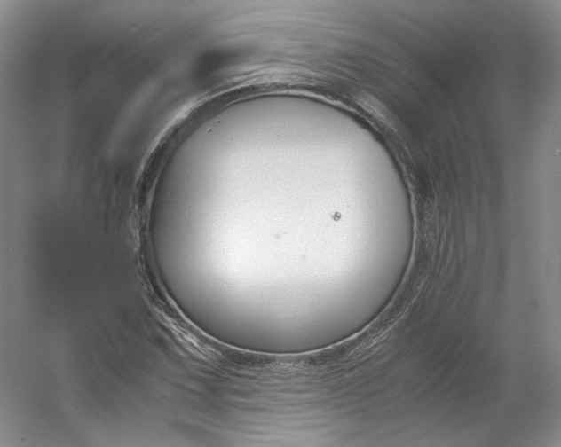 X0000053071067200507251453