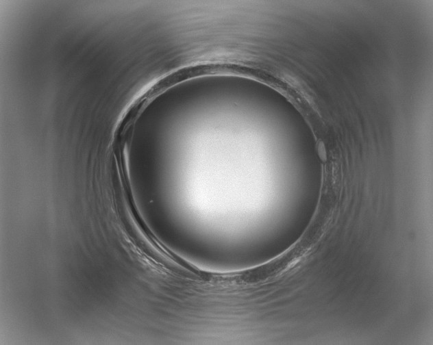 X0000053071069200507251453