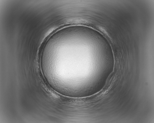 X0000053071071200507251453