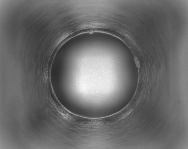 X0000053071073200507251453