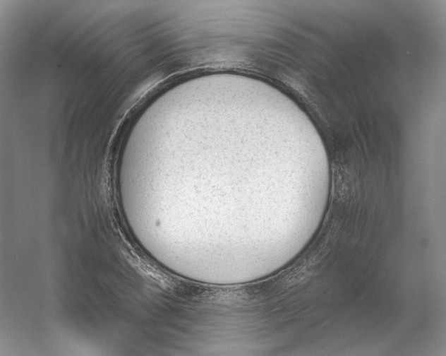 X0000053071074200507251453