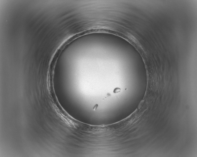 X0000053071076200507251453