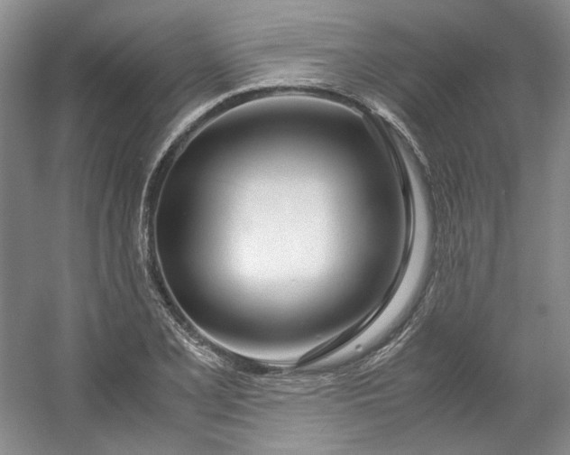 X0000053071077200507251453