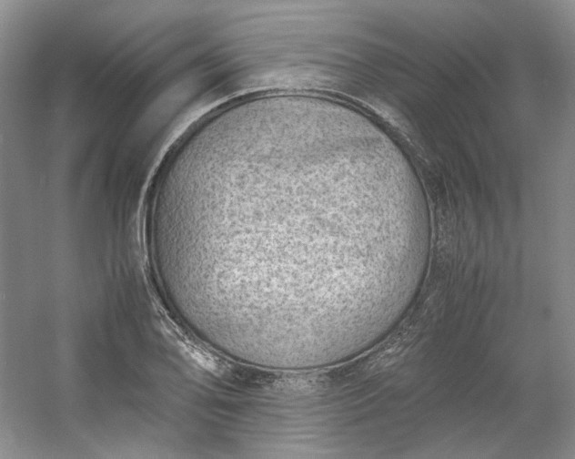 X0000053071078200507251453