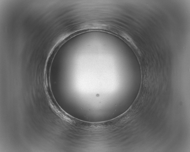 X0000053071080200507251453