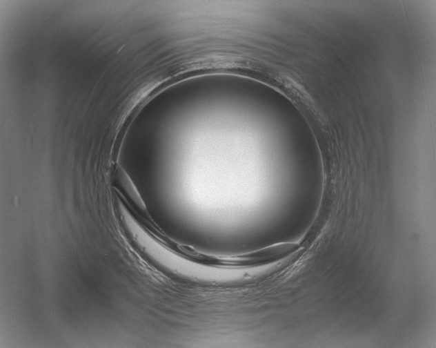 X0000053071081200507251453