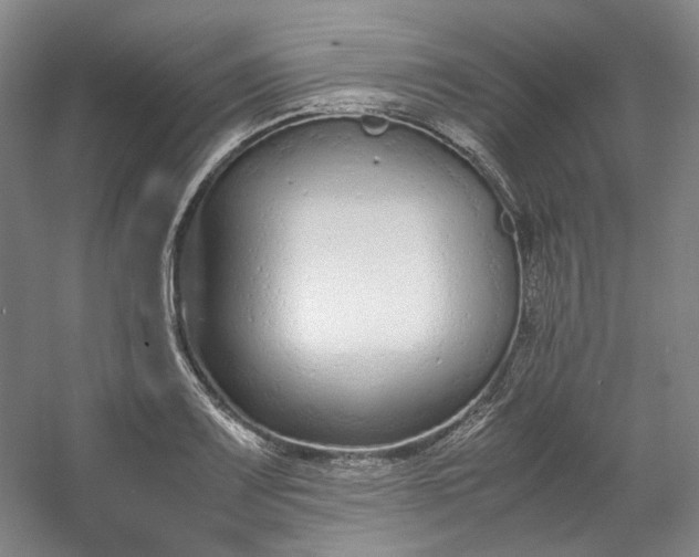 X0000053071083200507251453