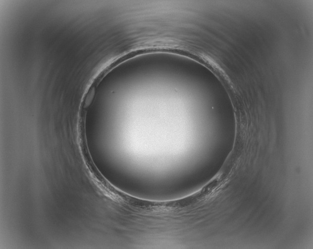 X0000053071085200507251453