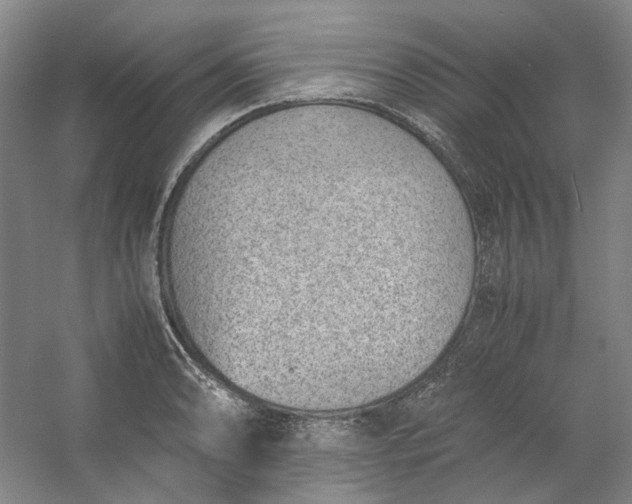 X0000053071086200507251453