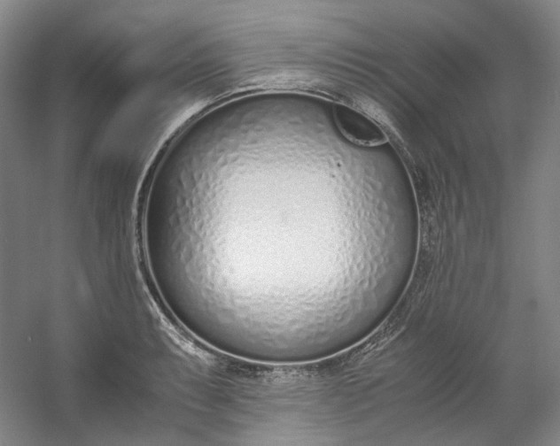 X0000053071087200507251453