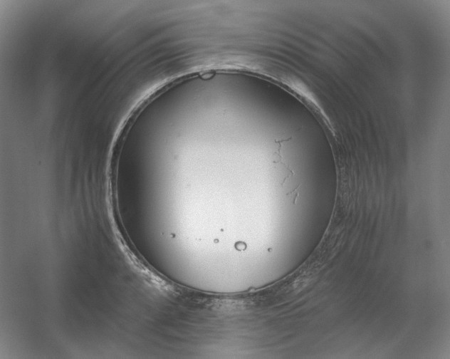 X0000053071088200507251453