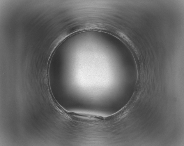 X0000053071089200507251453