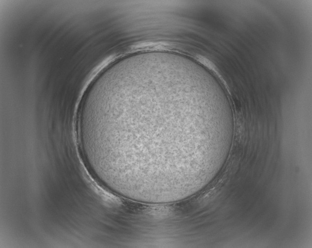 X0000053071090200507251453