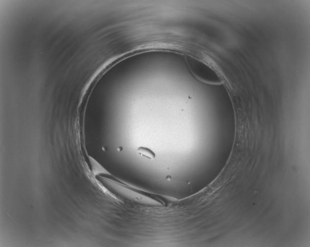 X0000053071092200507251453