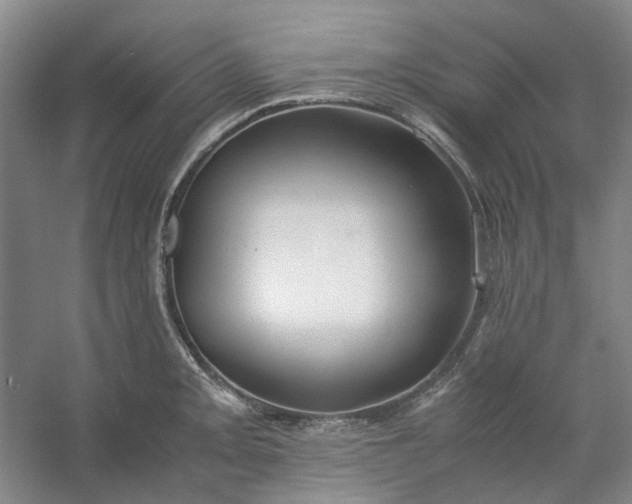 X0000053071093200507251453